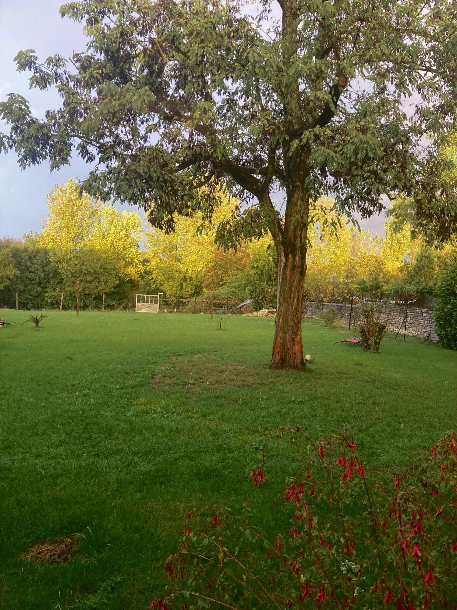 The Blue Lotus Gite And Spa Le Langon Extérieur photo